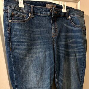 Torrid Jeans
